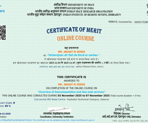 Overview of Geocomputation and Geo-web services